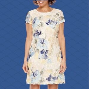 Knee-Length Lace Sheath Dress Size Petite Medium Garden Party Luncheon Day Event